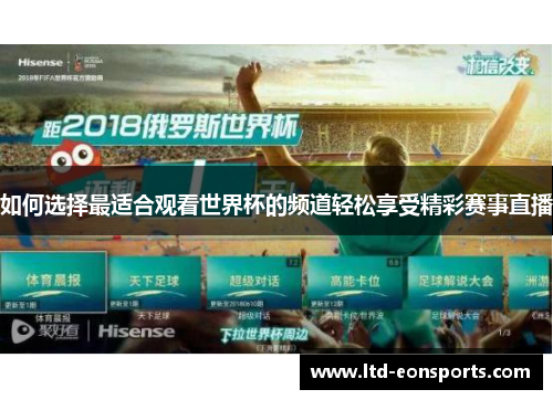 如何选择最适合观看世界杯的频道轻松享受精彩赛事直播